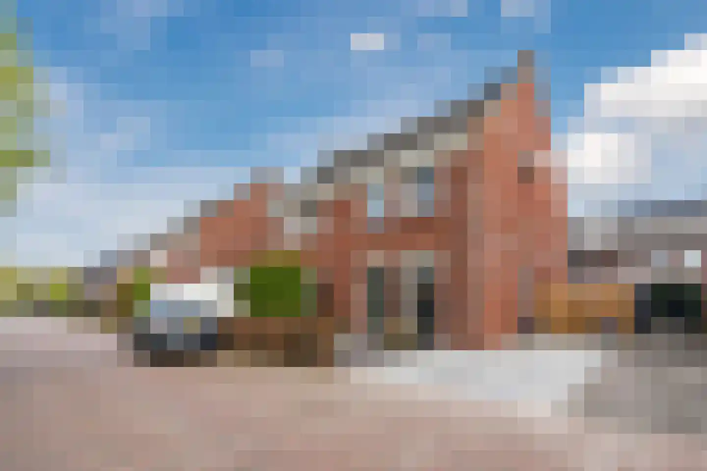 Teunisbloem 20 Gemert