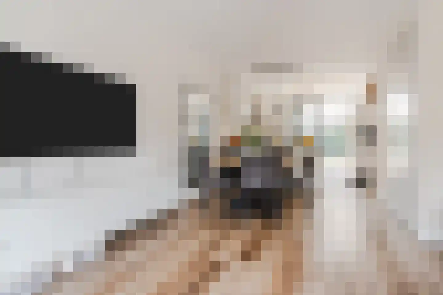 Teunisbloem 20 Gemert thumbnail 12