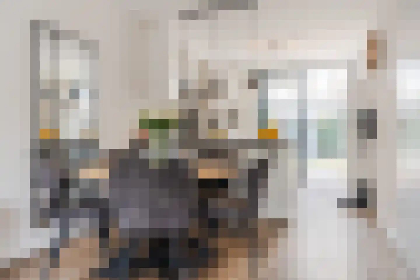 Teunisbloem 20 Gemert thumbnail 13
