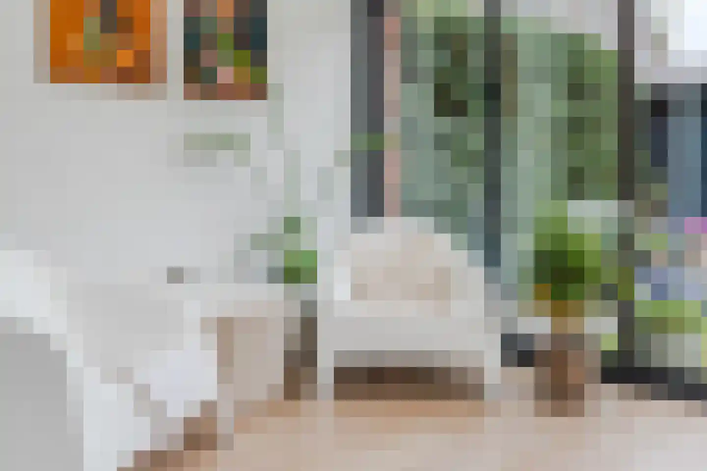 Teunisbloem 20 Gemert thumbnail 21