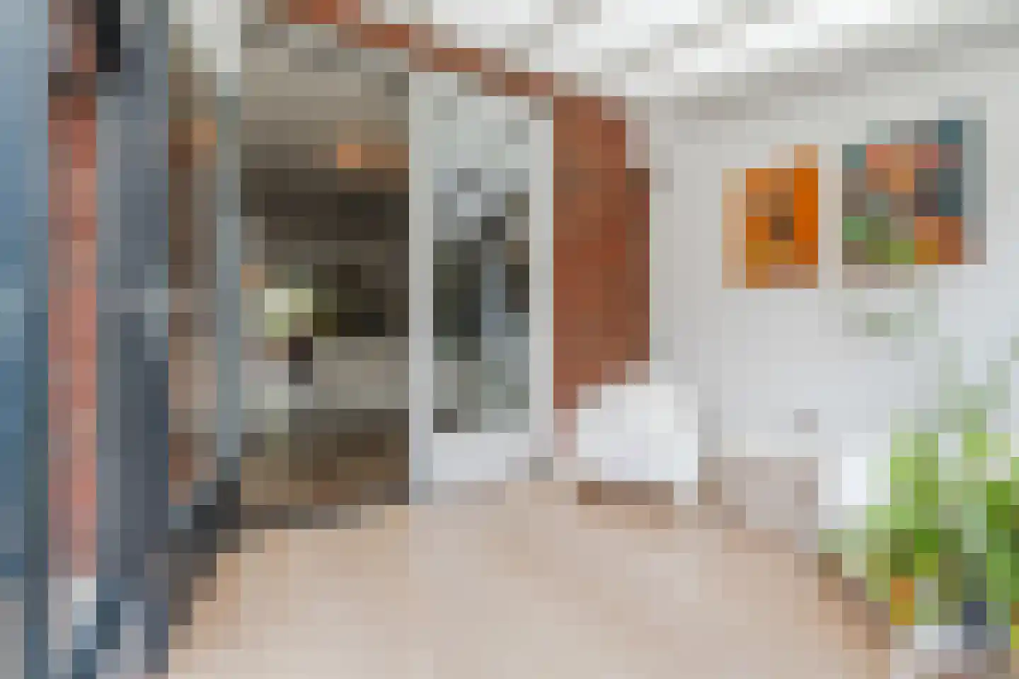Teunisbloem 20 Gemert thumbnail 22