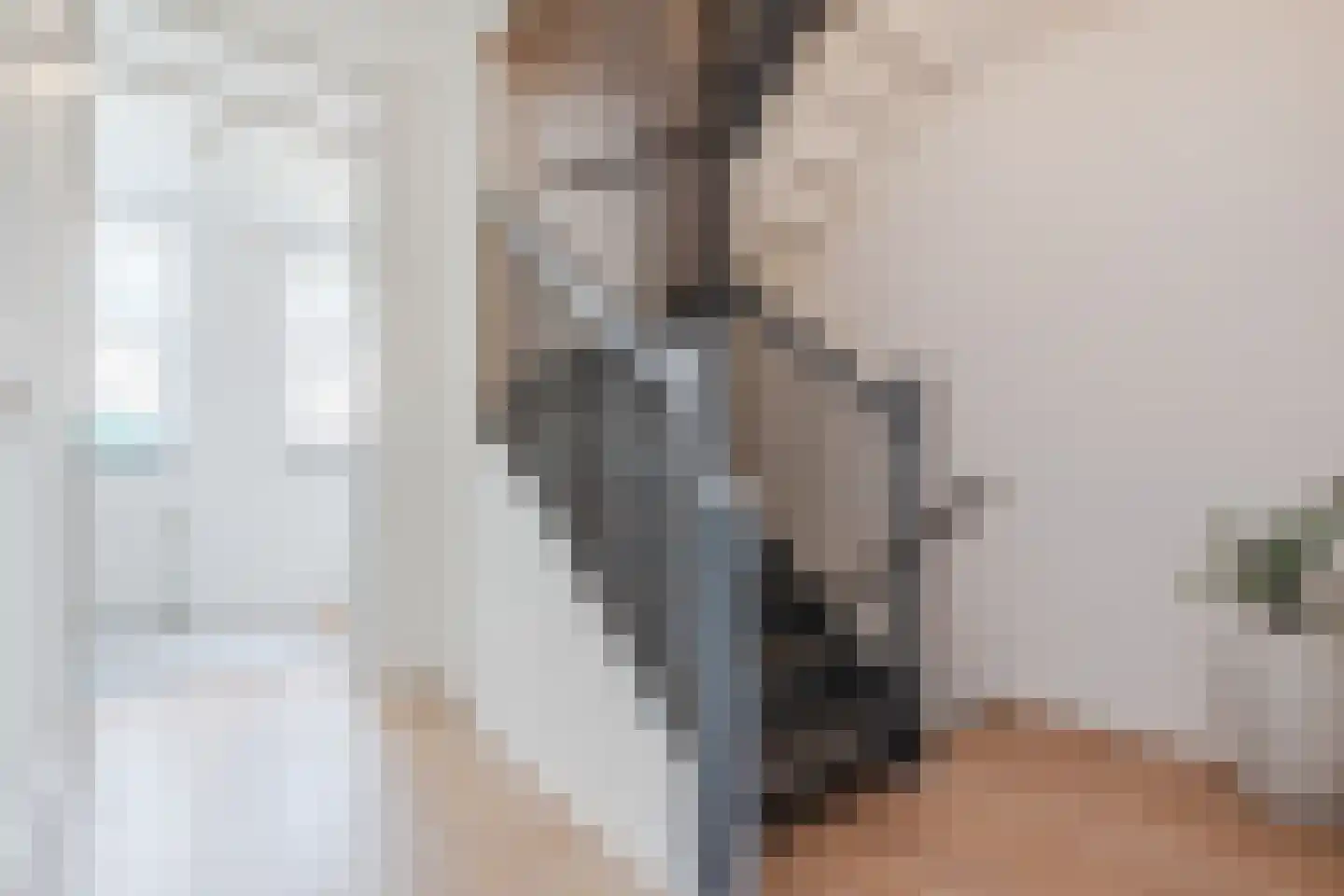 Teunisbloem 20 Gemert thumbnail 26