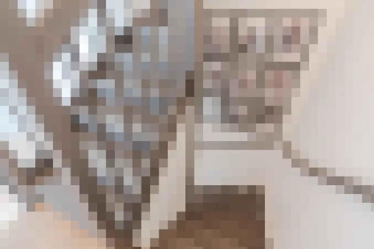 Teunisbloem 20 Gemert thumbnail 35