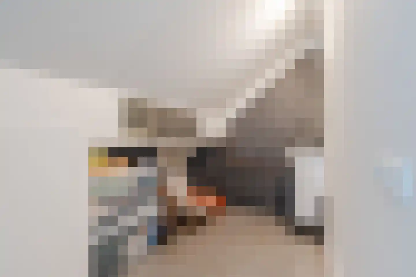 Teunisbloem 20 Gemert thumbnail 36