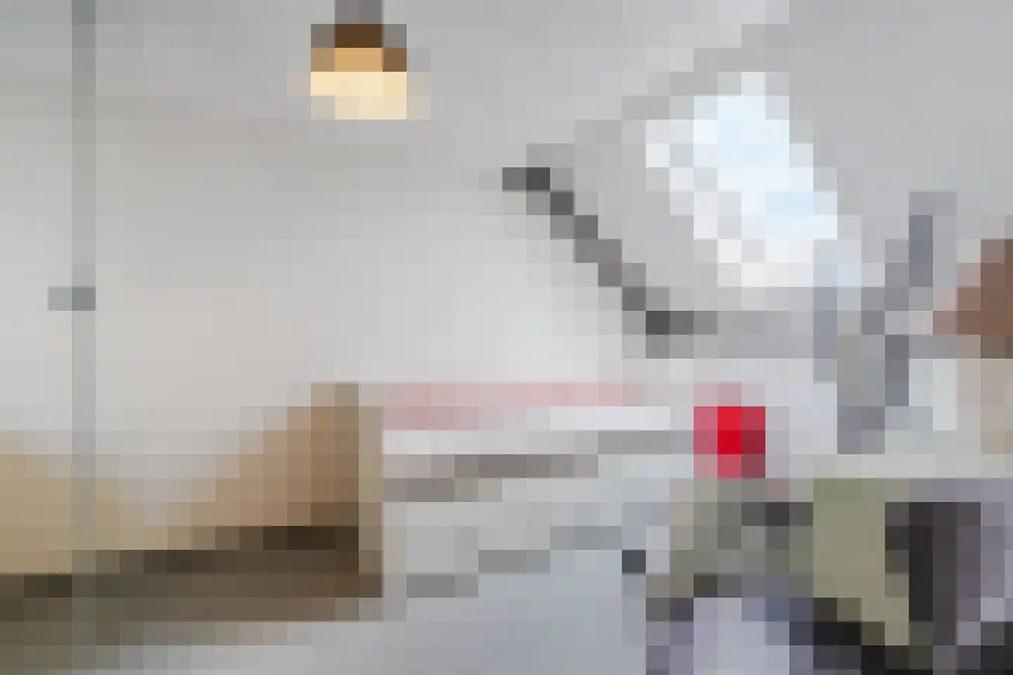 Teunisbloem 20 Gemert thumbnail 37