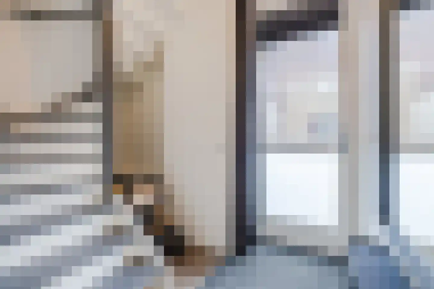 Teunisbloem 20 Gemert thumbnail 6