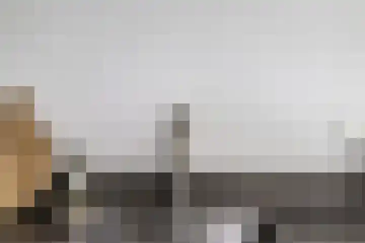 Teunisbloem 29 Eijsden thumbnail 10