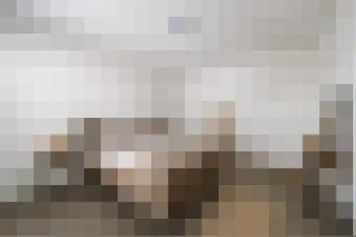 Teunisbloem 29 Eijsden thumbnail 14