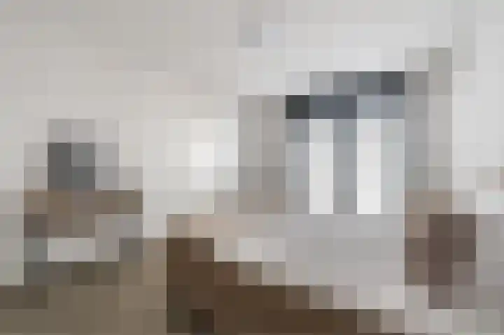 Teunisbloem 29 Eijsden thumbnail 15