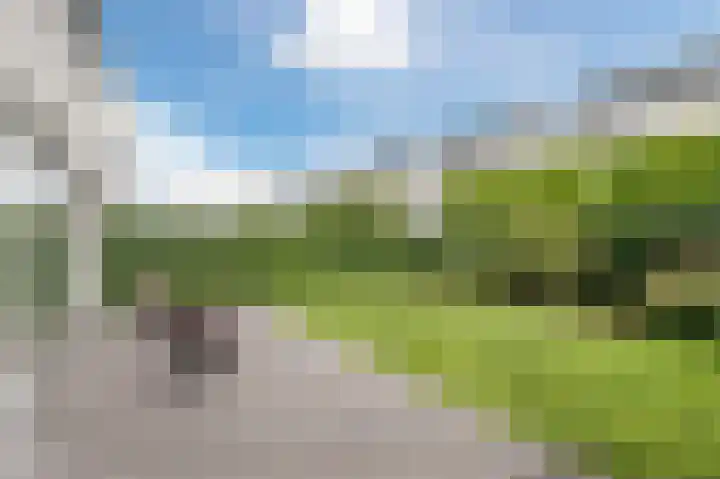 Teunisbloem 29 Eijsden thumbnail 27