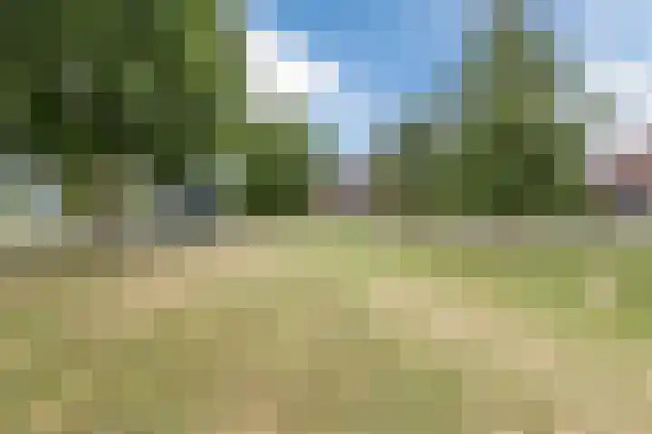 Teunisbloem 29 Eijsden thumbnail 30
