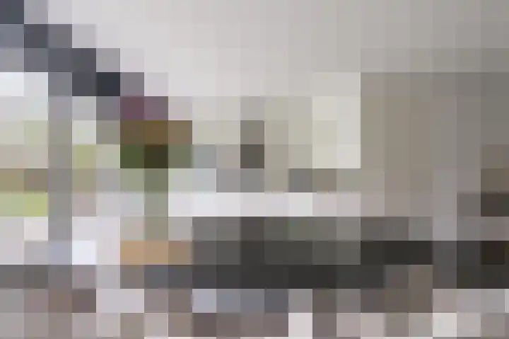Teunisbloem 29 Eijsden thumbnail 6
