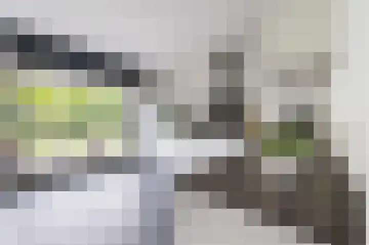 Teunisbloem 29 Eijsden thumbnail 7