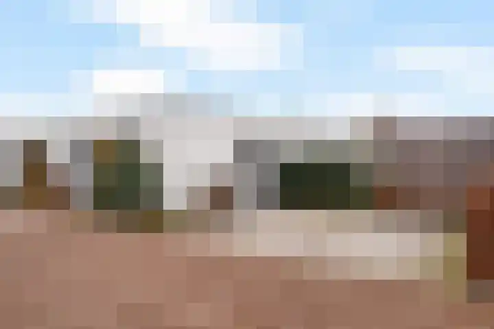 Teunisbloem 4 in Berghem