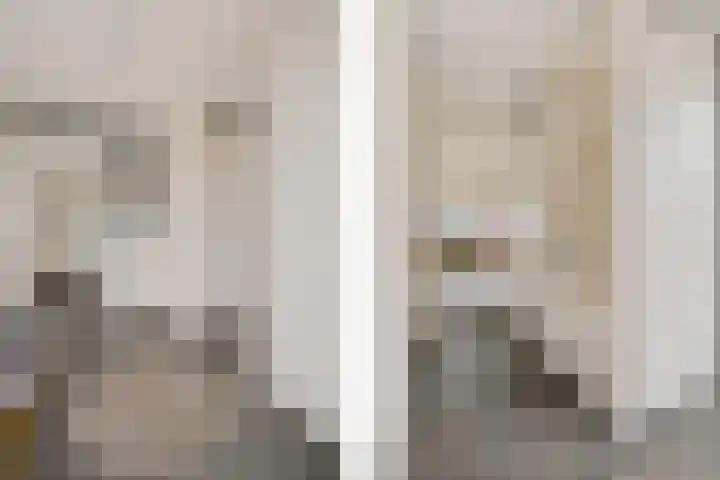 Teunisbloem 4 Berghem thumbnail 10