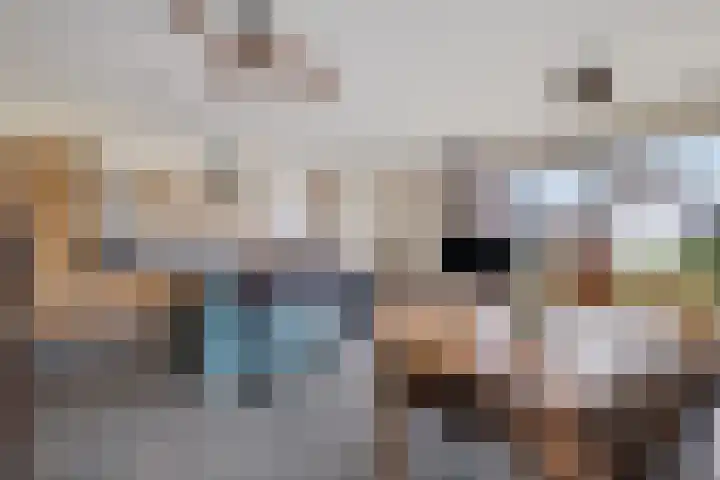 Teunisbloem 4 Berghem thumbnail 13