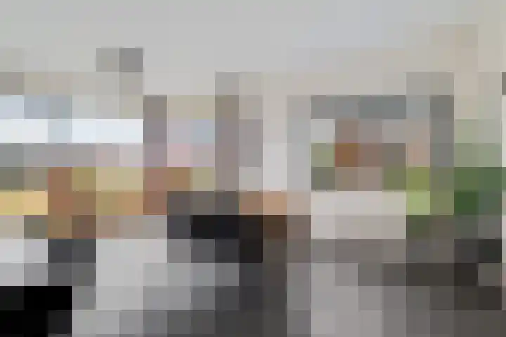 Teunisbloem 4 Berghem thumbnail 18