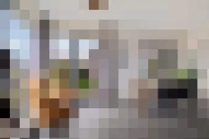 Teunisbloem 4 Berghem thumbnail 19