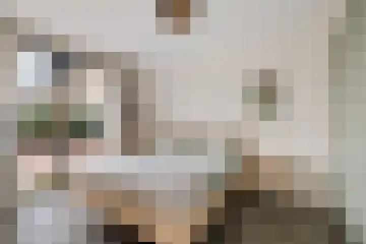 Teunisbloem 4 Berghem thumbnail 21