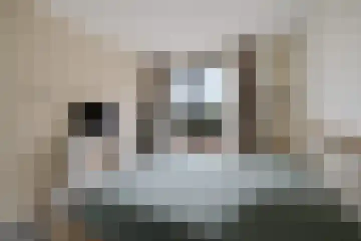 Teunisbloem 4 Berghem thumbnail 22