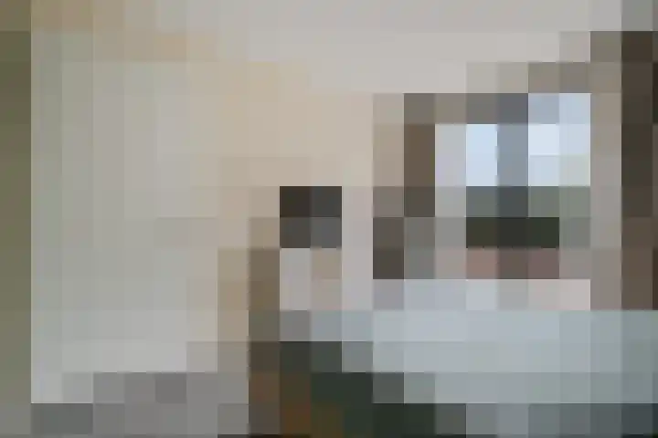 Teunisbloem 4 Berghem thumbnail 24