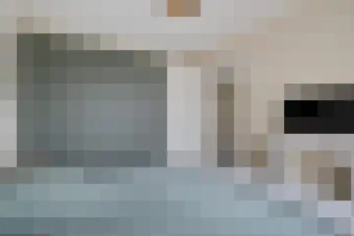 Teunisbloem 4 Berghem thumbnail 25