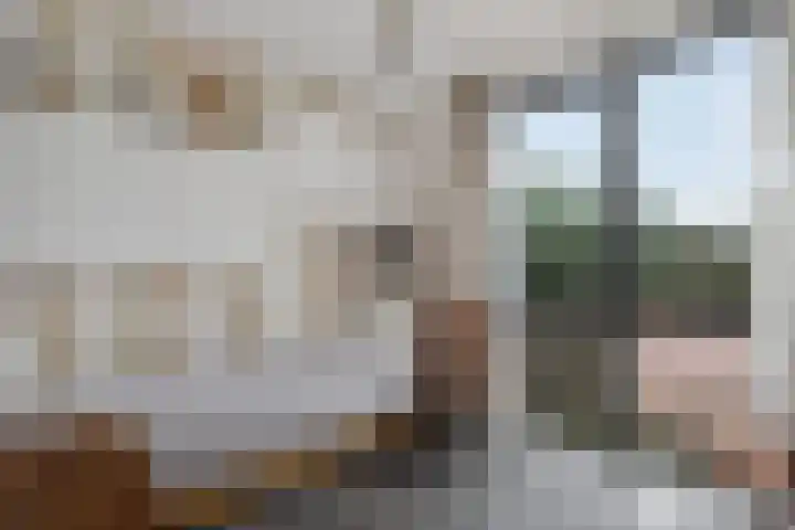 Teunisbloem 4 Berghem thumbnail 26