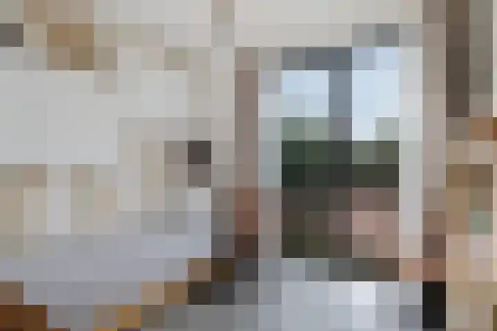 Teunisbloem 4 Berghem thumbnail 27