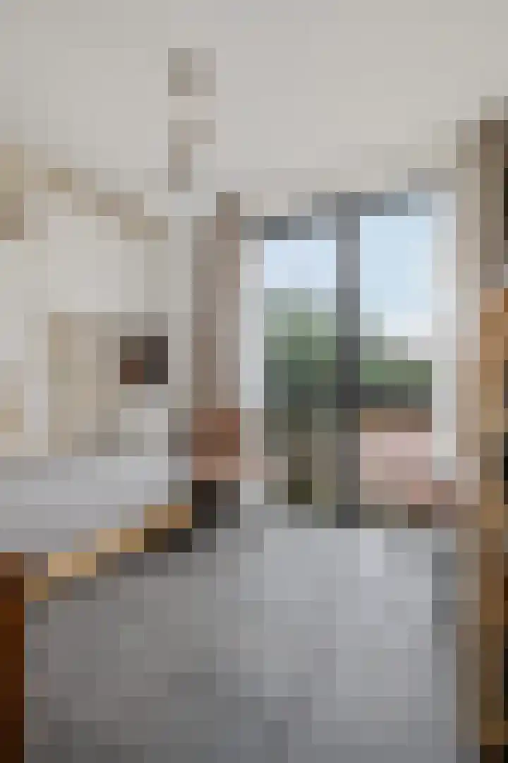 Teunisbloem 4 Berghem thumbnail 28