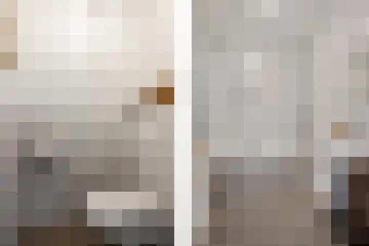 Teunisbloem 4 Berghem thumbnail 30