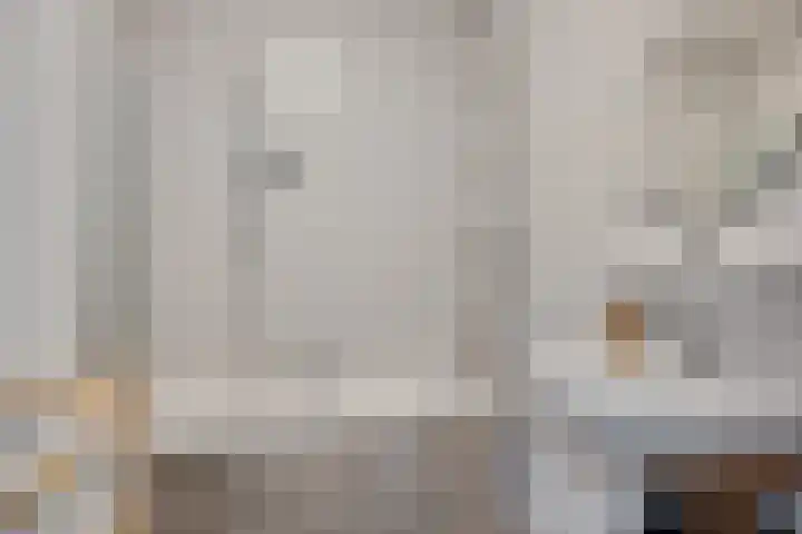 Teunisbloem 4 Berghem thumbnail 31
