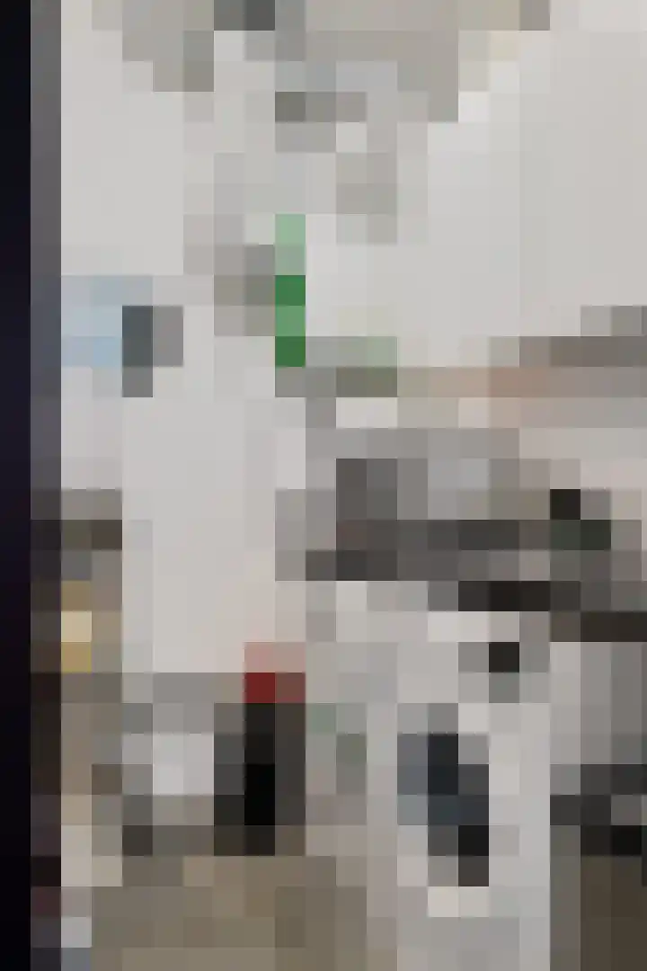 Teunisbloem 4 Berghem thumbnail 32