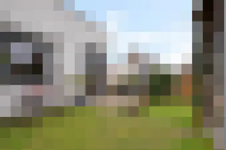 Teunisbloem 4 Berghem thumbnail 34