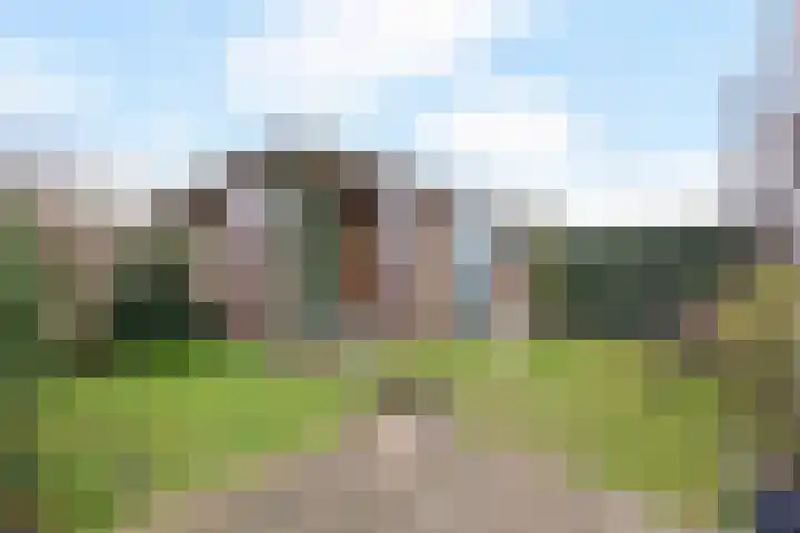 Teunisbloem 4 Berghem thumbnail 36