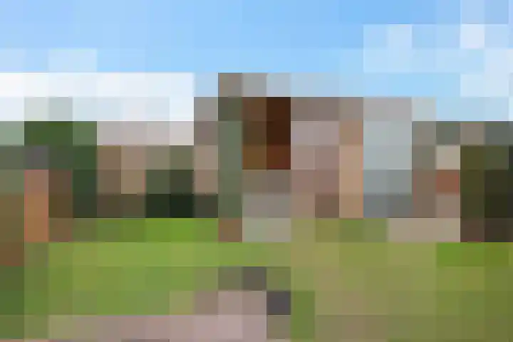 Teunisbloem 4 Berghem thumbnail 37