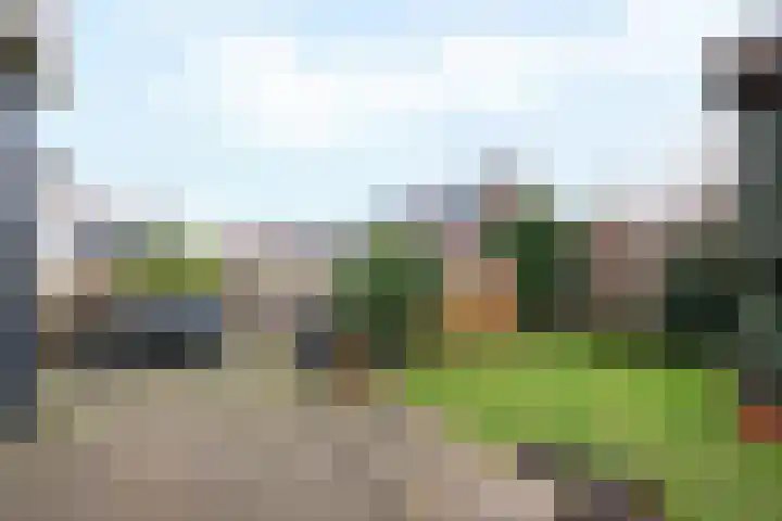 Teunisbloem 4 Berghem thumbnail 39