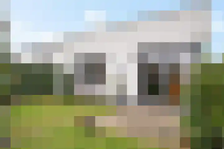 Teunisbloem 4 Berghem thumbnail 40