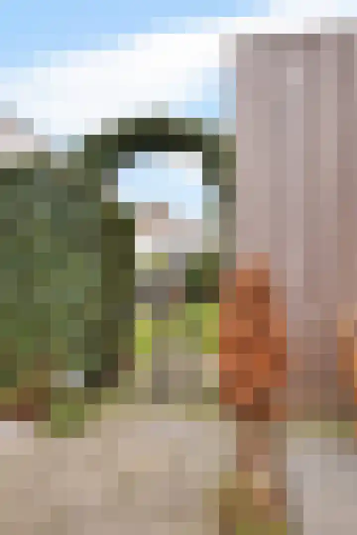 Teunisbloem 4 Berghem thumbnail 41