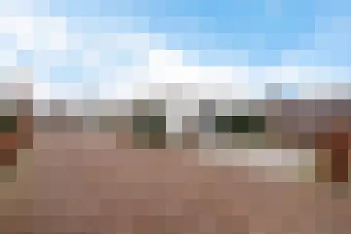 Teunisbloem 4 Berghem thumbnail 44
