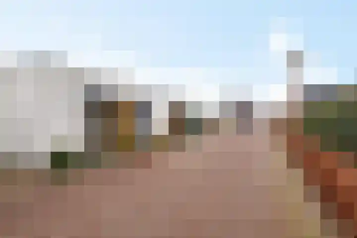 Teunisbloem 4 Berghem thumbnail 45