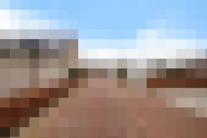 Teunisbloem 4 Berghem thumbnail 46