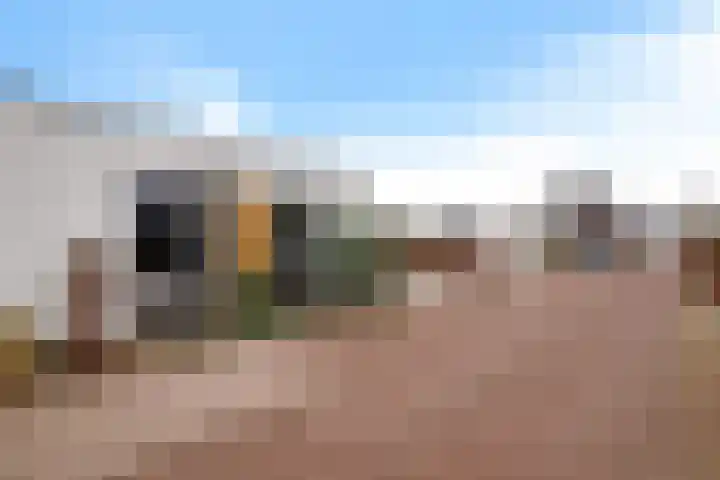 Teunisbloem 4 Berghem thumbnail 47