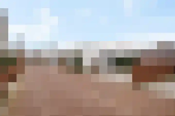 Teunisbloem 4 Berghem thumbnail 48