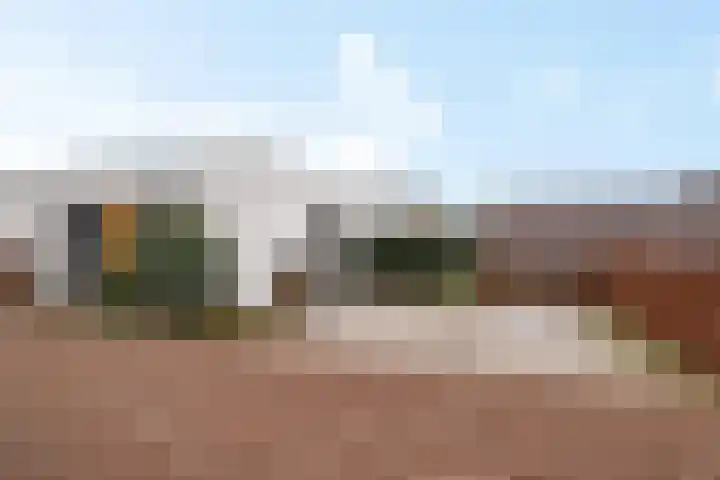 Teunisbloem 4 Berghem thumbnail 6