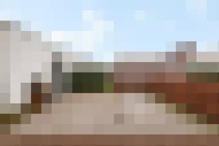 Teunisbloem 4 Berghem thumbnail 7