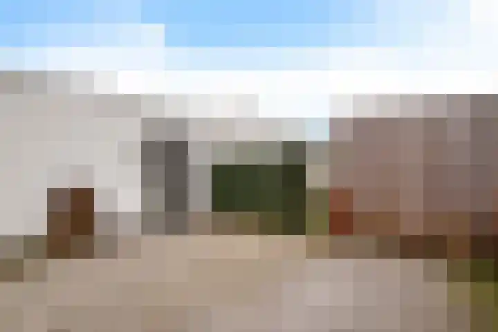 Teunisbloem 4 Berghem thumbnail 8