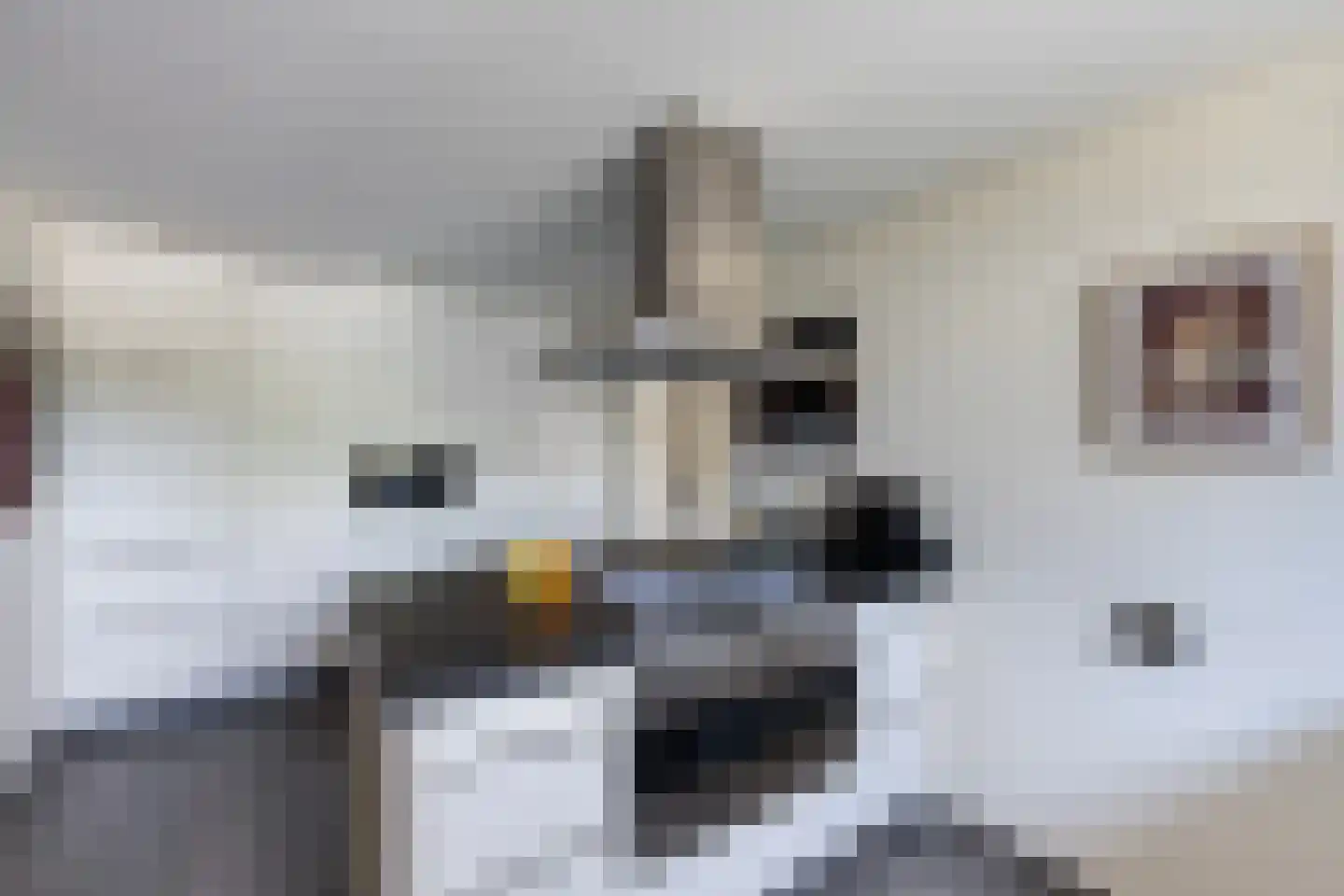 Teunisbloem 41 Dalfsen thumbnail 15