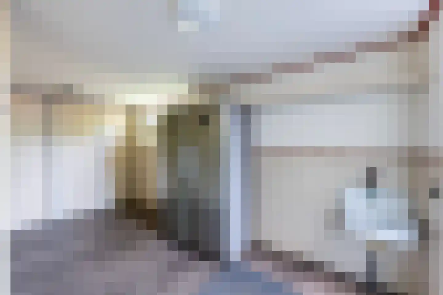 Teunisbloem 41 Dalfsen thumbnail 16
