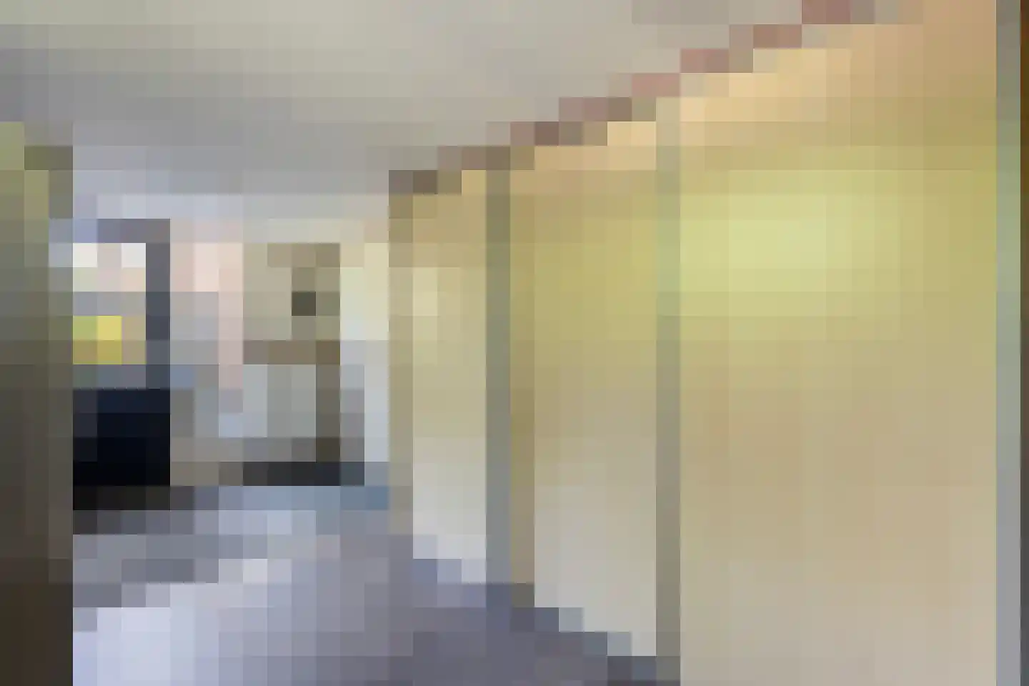 Teunisbloem 41 Dalfsen thumbnail 17