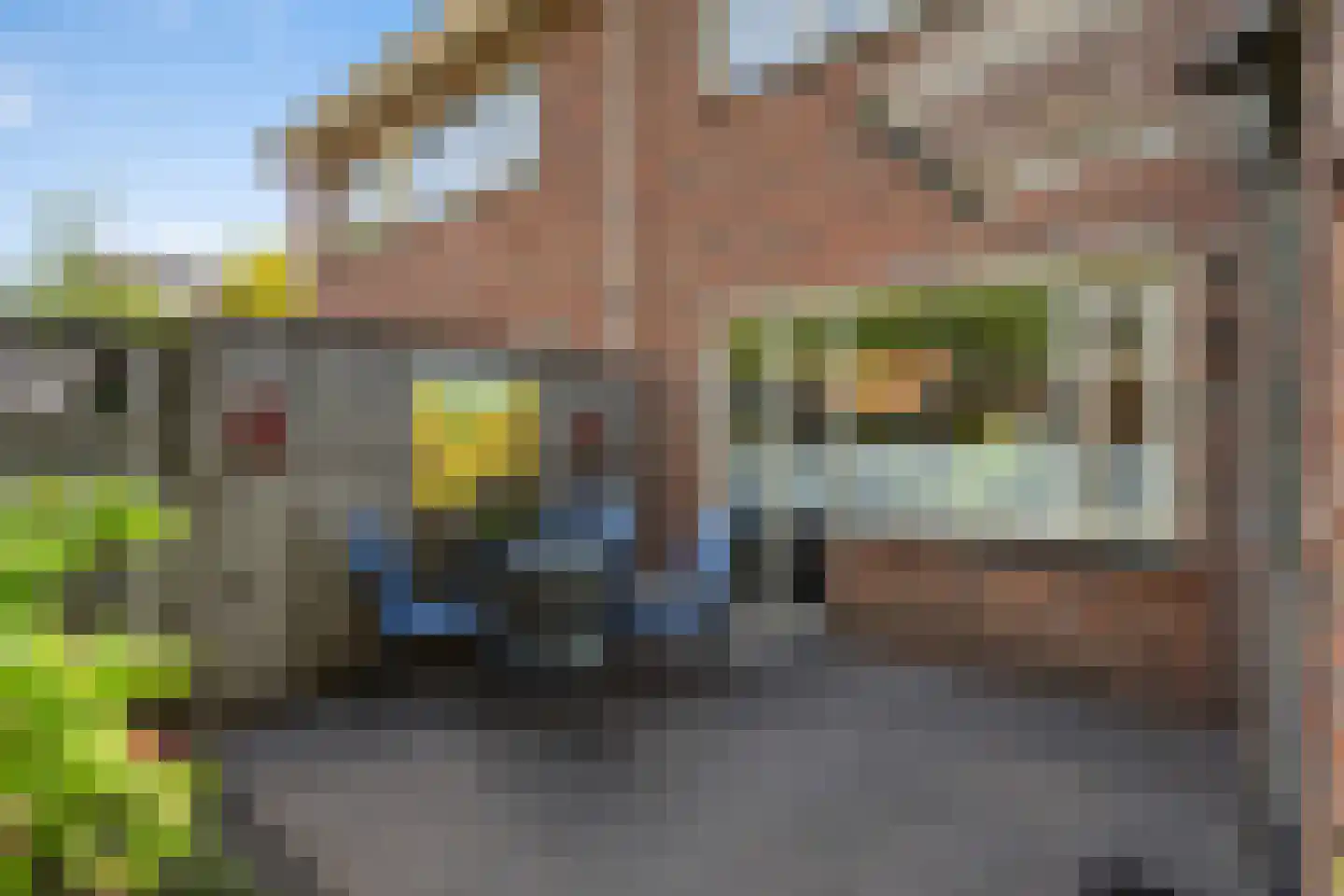 Teunisbloem 41 Dalfsen thumbnail 30